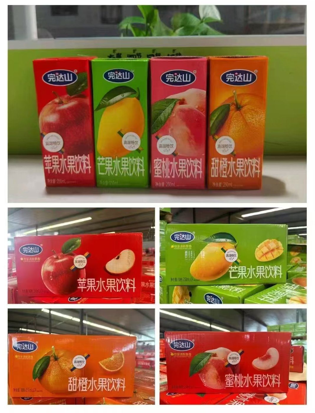 Brick-Pack Fruit Juice Drink